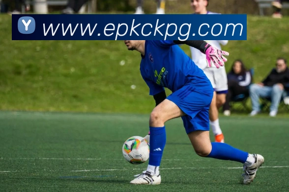 澳门新葡京官方网站APP 体育赛事宣传图